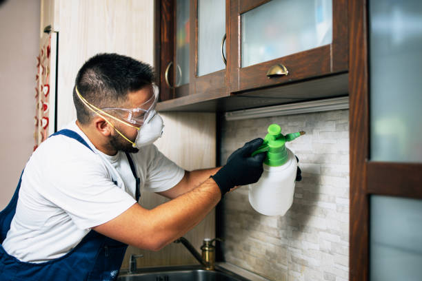 Best Pest Inspection Near Me  in Bluff City, TN