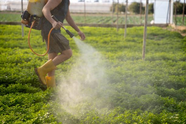 Best Exterminator Services  in Bluff City, TN