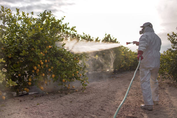Best Emergency Pest Control  in Bluff City, TN