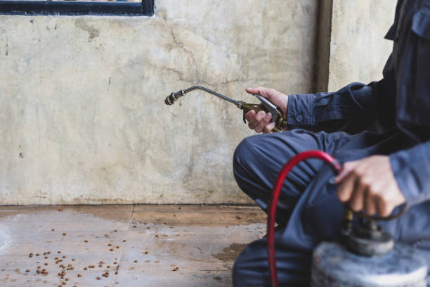 Pest Control for Restaurants in Bluff City, TN